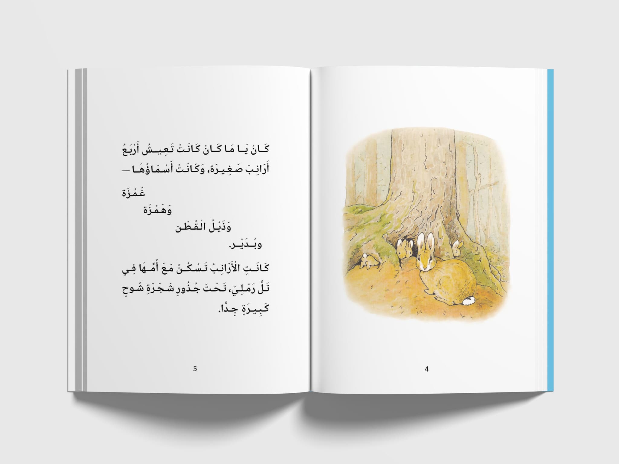 مقدمة حكاية الأرنب بدير